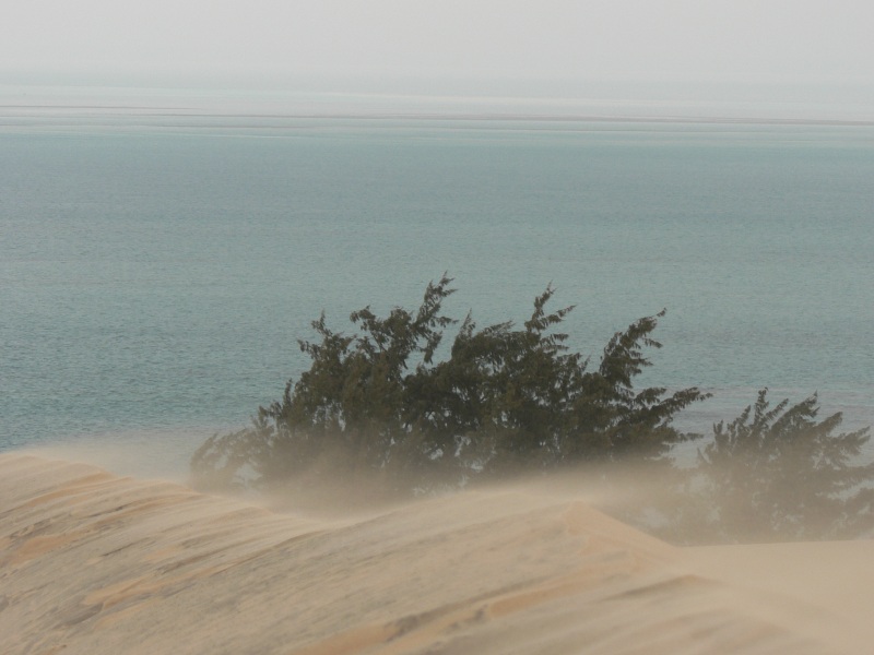 Vento sulla duna alta - Bazaruto Islands